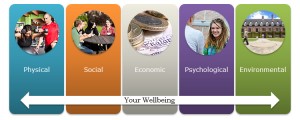 wellbeing components