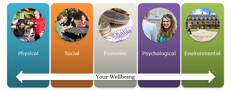 Factors affecting Wellbeing